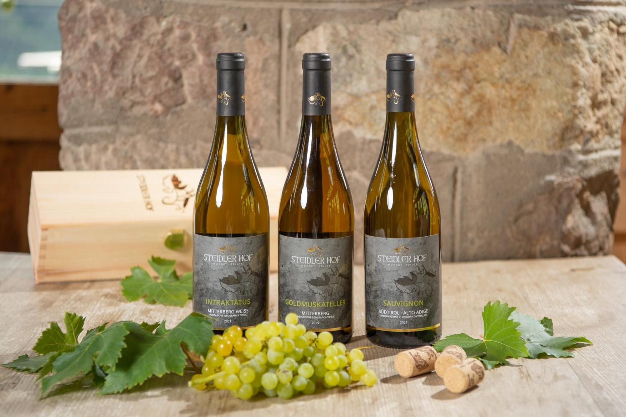 Steidlerhof Villa Bolzano Ngoại thất bức ảnh